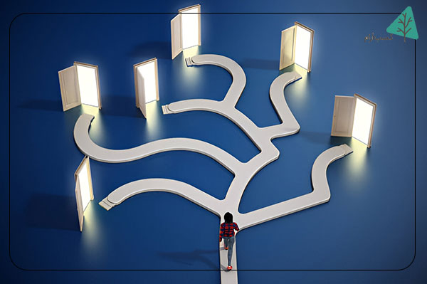 تصمیمگیری فردی (Individual Decision-Making)